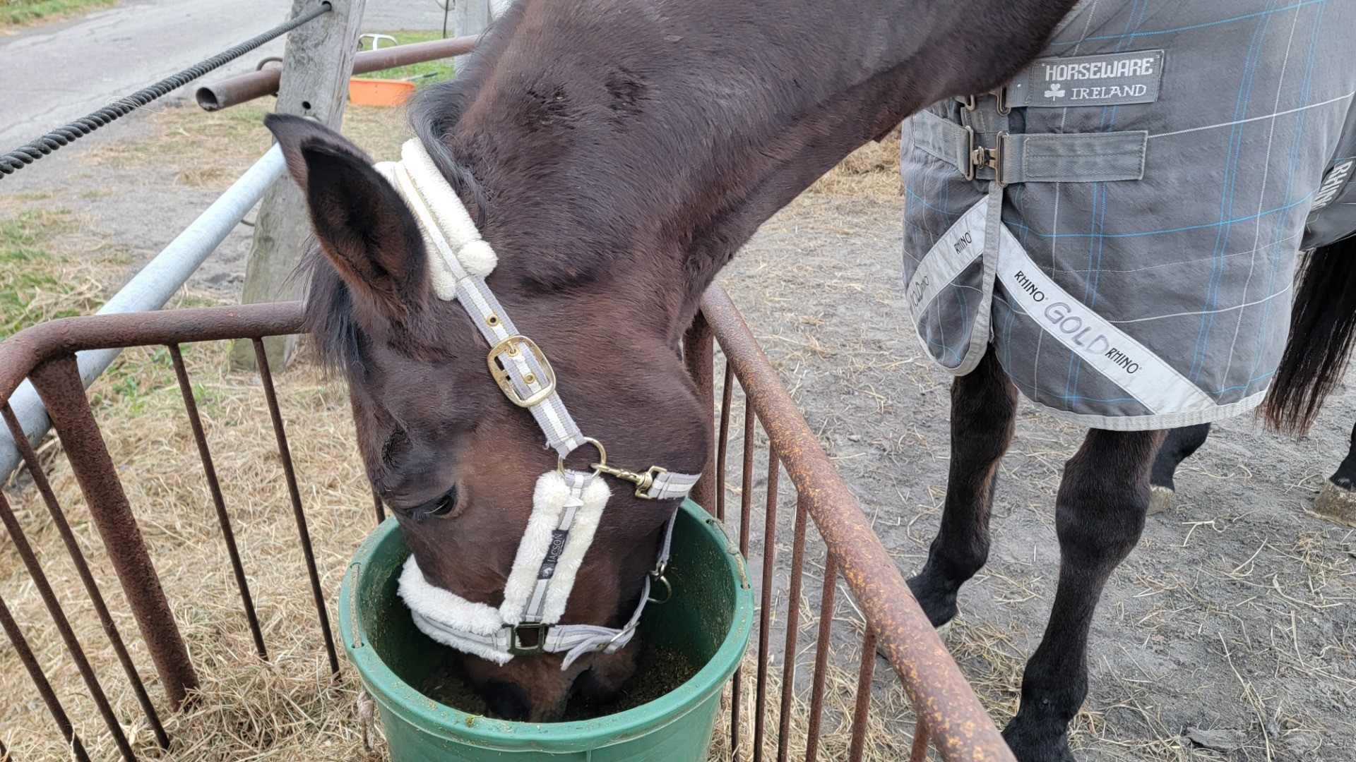 3c7f8484de451127f28e827eae226673-1760934795.jpg 3c7f8484de451127f28e827eae226673-1760934795.jpg